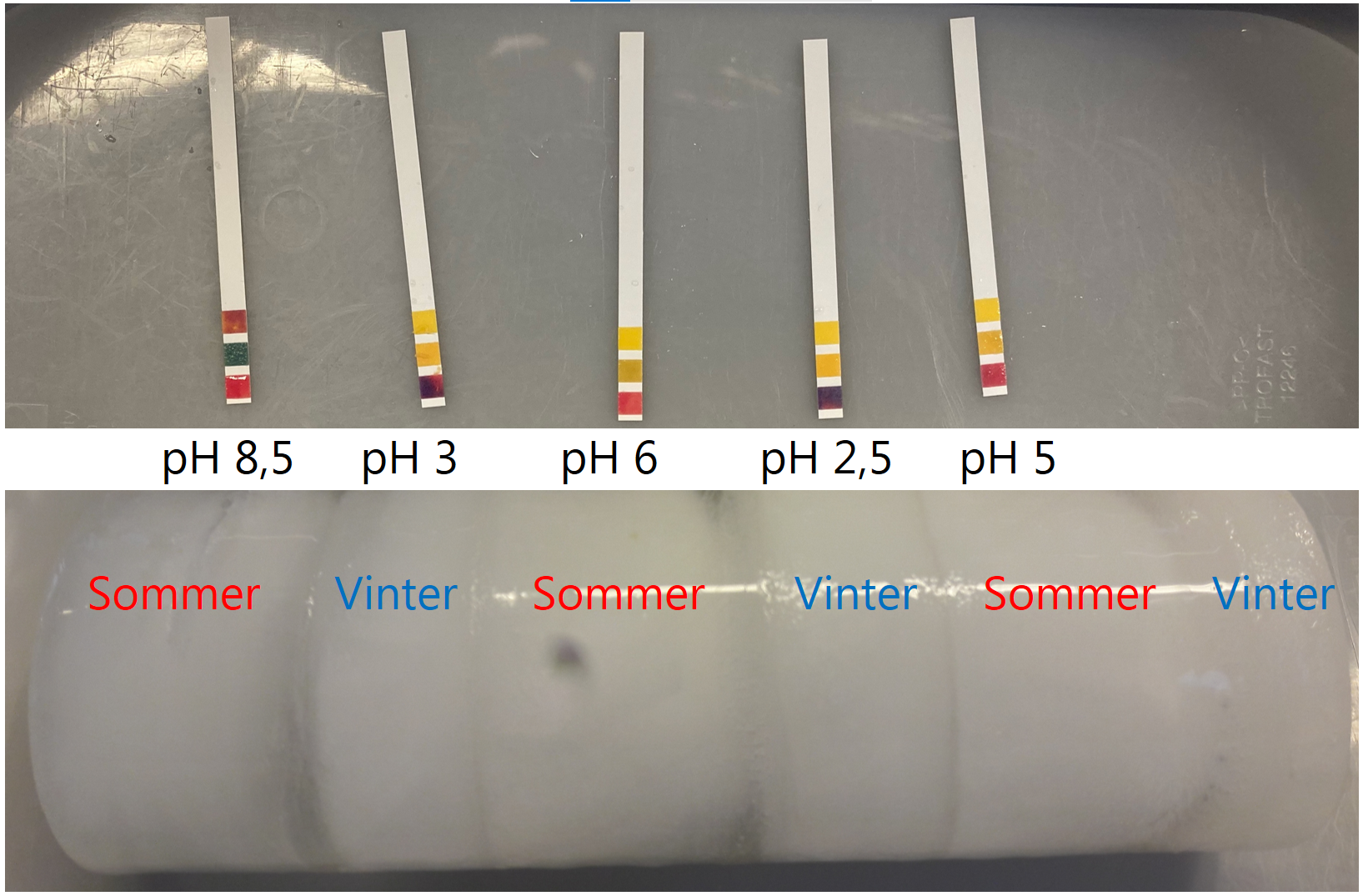 På billedet ses målingerne: (sommer = pH 8,5), (vinter = pH 3), (sommer = pH 6), (vinter = pH 2,5) og (sommer = pH 5) 